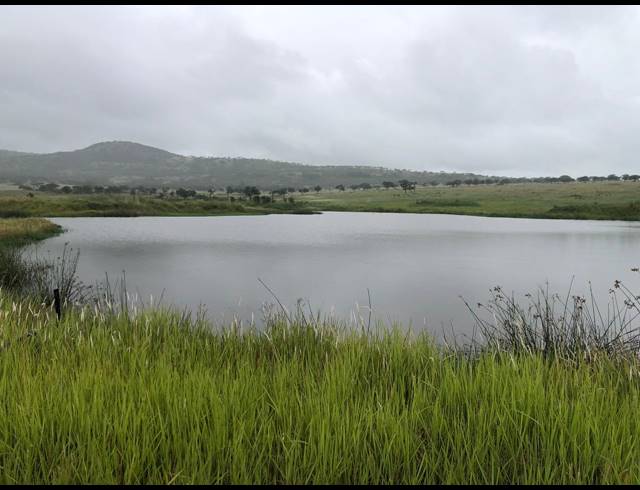 691HA FARM FOR SALE IN NEWCASTLE CENTRAL